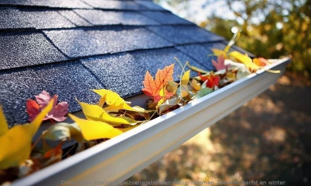 Seizoensgebonden rioolproblemen Zeeland: herfst en winter